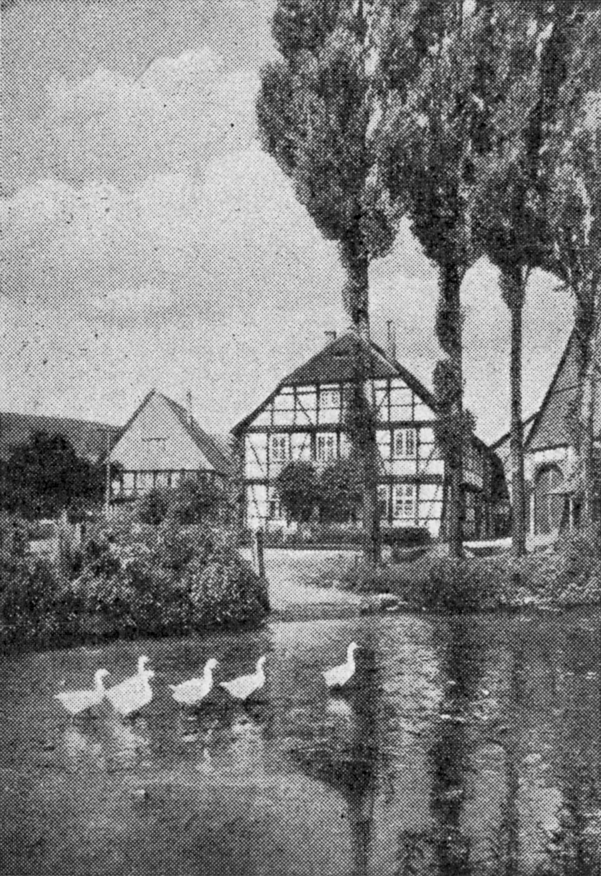 Bauernhäuser in Scharfoldendorf, Ortsteil von Eschershausen